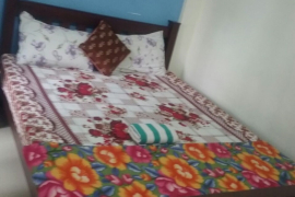 Two BHK serviced apartment for daily weekly  rent at Ernakulam Kaloor