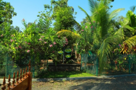 Fully furnished house for short term rent near Vyttila Eroor Cochin