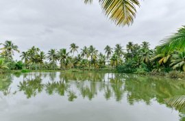 Furnished house for daily and weekly rent near Aster Medicity Hospital in Cochin