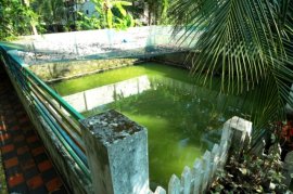 One Bed fully furnished studio villa for short term rent Kochi Eroor for short term rental