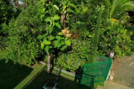 One Bed fully furnished studio villa for short term rent Kochi Eroor for short term rental